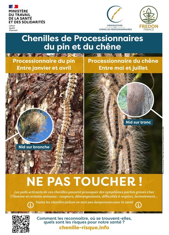 Affiche de prévention contre les chenilles